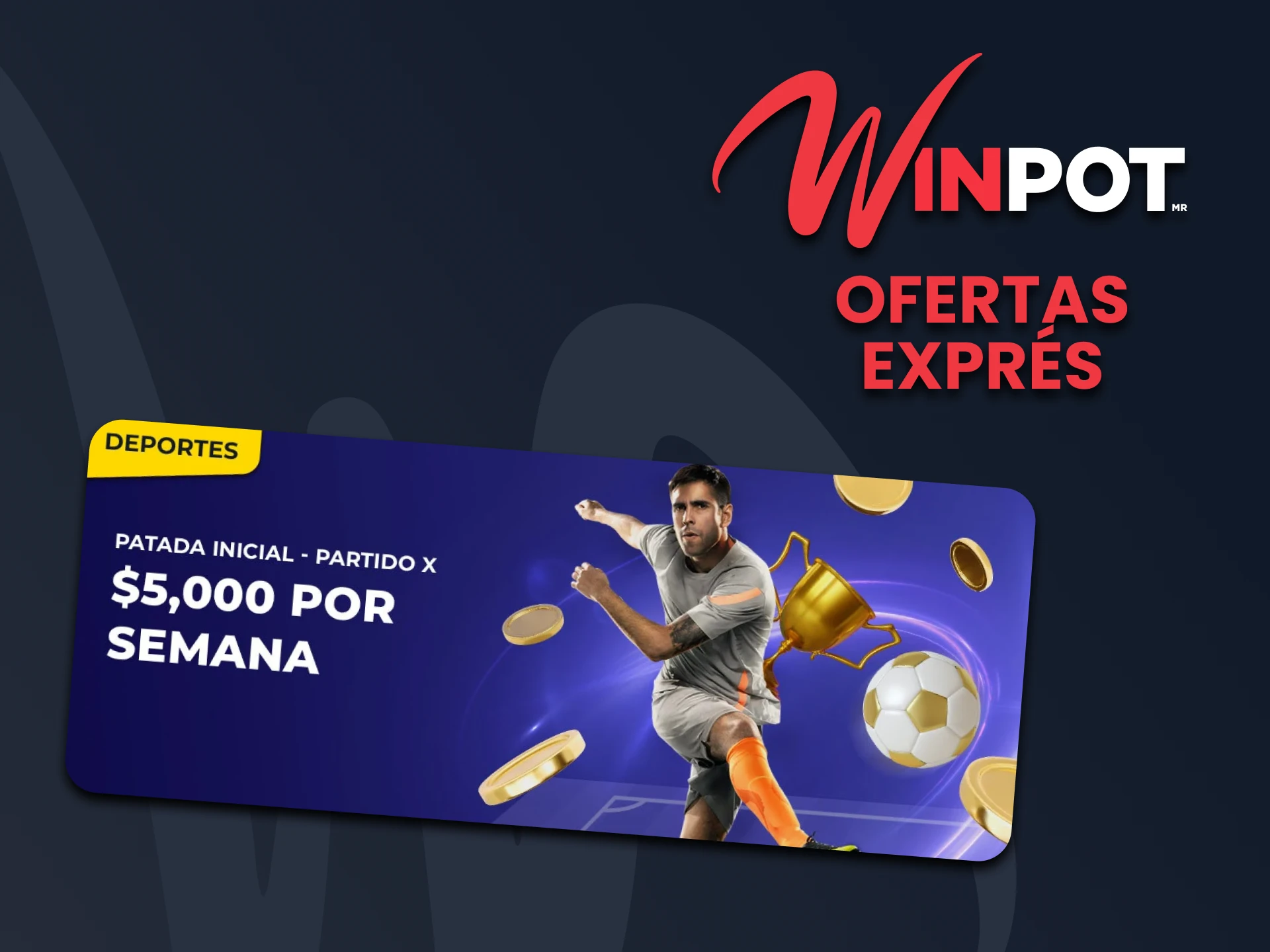 Obtenga ofertas exprés de Winpot.